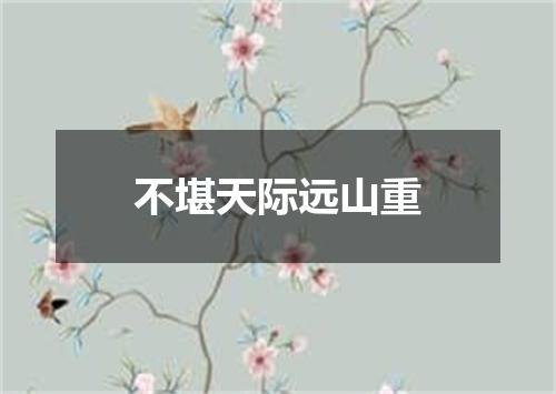 不堪天际远山重