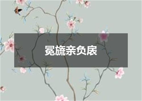 冕旒亲负扆