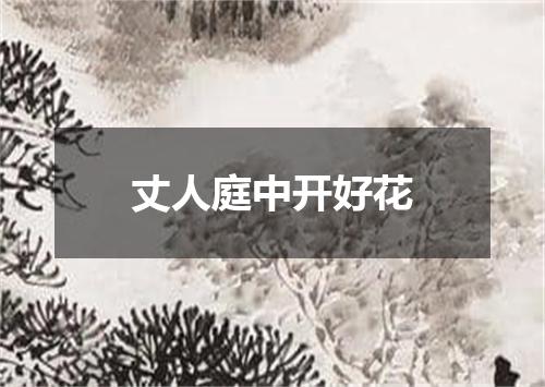 丈人庭中开好花
