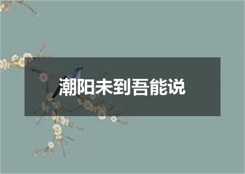 潮阳未到吾能说