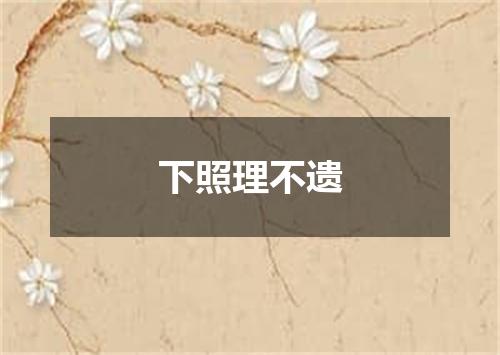 下照理不遗
