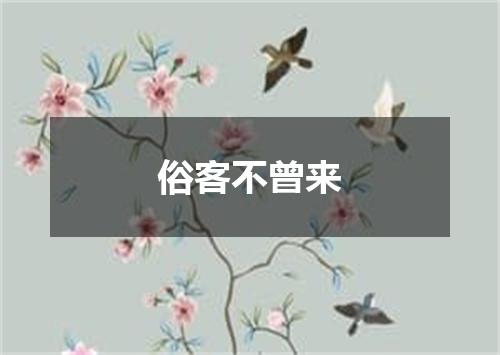 俗客不曾来