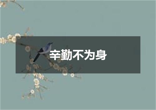 辛勤不为身