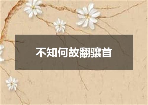 不知何故翻骧首