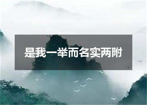 是我一举而名实两附