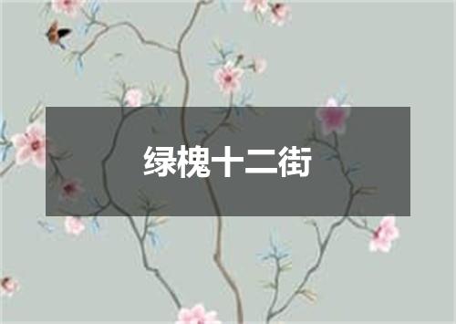 绿槐十二街