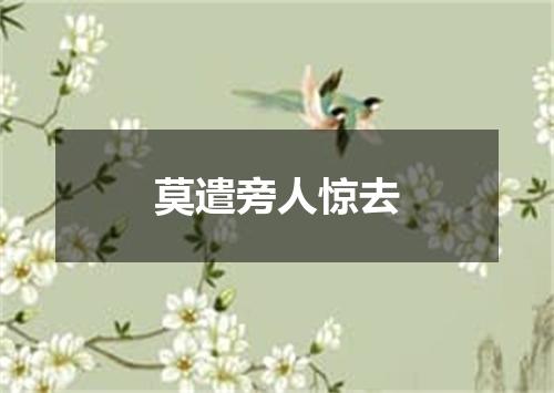 莫遣旁人惊去