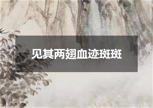 见其两翅血迹斑斑
