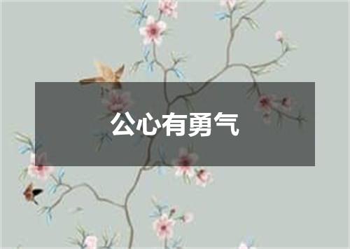 公心有勇气
