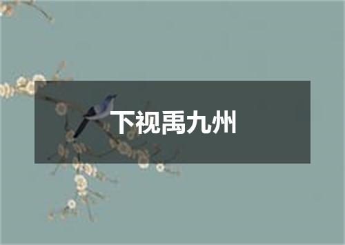 下视禹九州