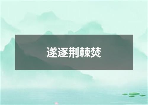 遂逐荆棘焚