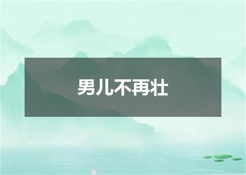 男儿不再壮