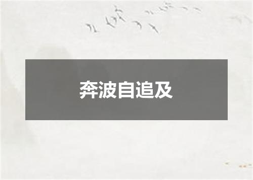 奔波自追及
