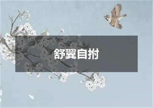 舒翼自拊