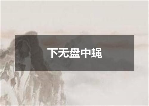 下无盘中蝇