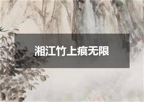 湘江竹上痕无限