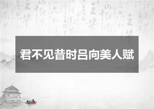 君不见昔时吕向美人赋