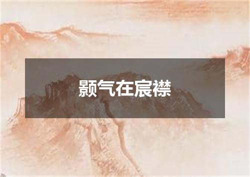 颢气在宸襟