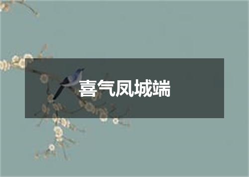 喜气凤城端