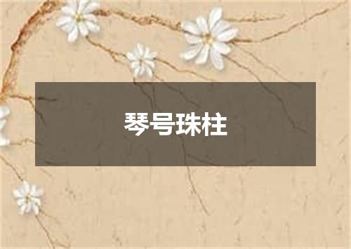 琴号珠柱