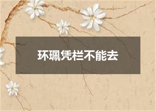 环珮凭栏不能去