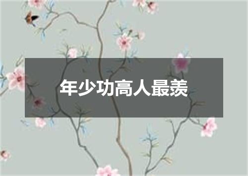 年少功高人最羡