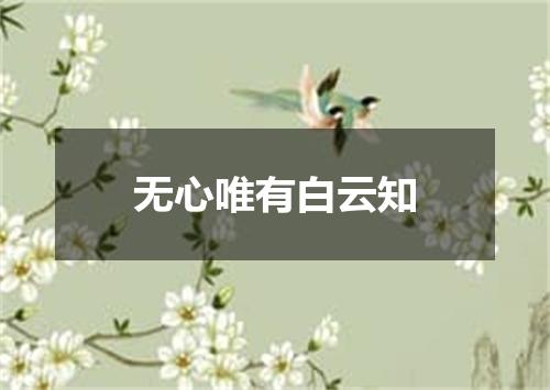 无心唯有白云知