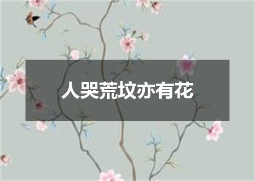 人哭荒坟亦有花