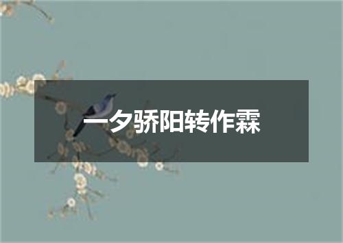 一夕骄阳转作霖