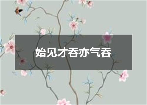 始见才吞亦气吞