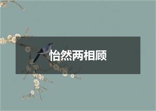 怡然两相顾