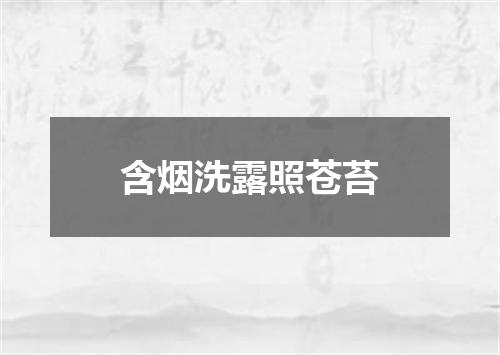 含烟洗露照苍苔