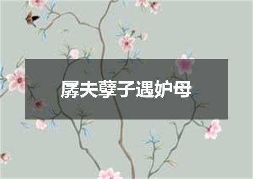 孱夫孽子遇妒母