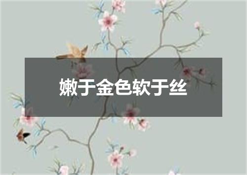嫩于金色软于丝
