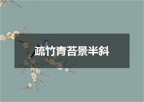 疏竹青苔景半斜