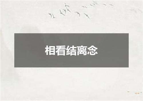 相看结离念
