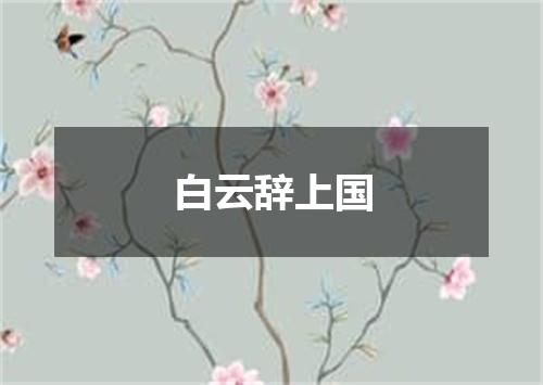 白云辞上国