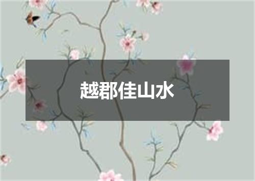 越郡佳山水