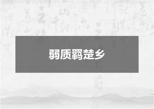 弱质羁楚乡