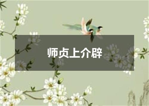 师贞上介辟