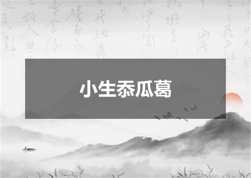 小生忝瓜葛