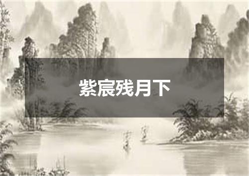 紫宸残月下