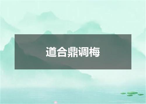 道合鼎调梅