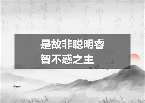 是故非聪明睿智不惑之主