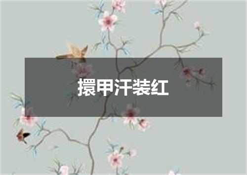擐甲汗装红