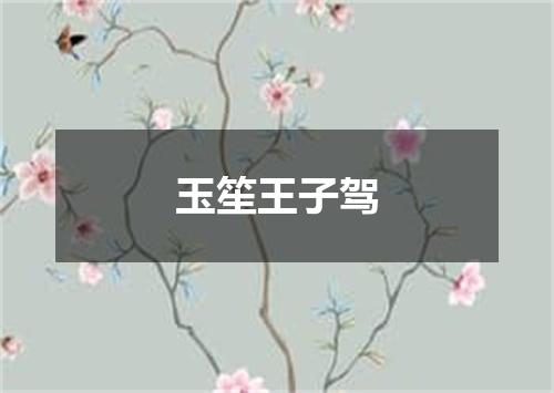 玉笙王子驾