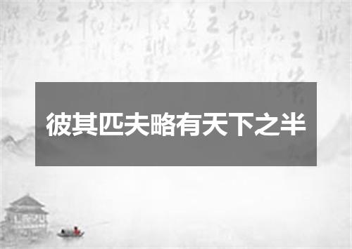 彼其匹夫略有天下之半