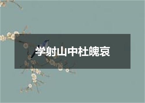 学射山中杜魄哀