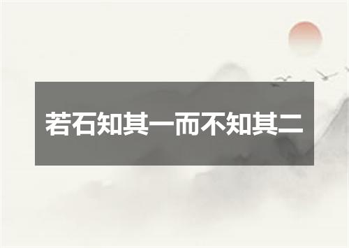 若石知其一而不知其二