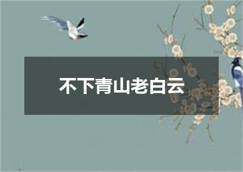 不下青山老白云